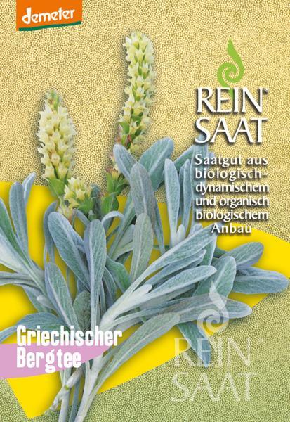 BIO semená Grécky horský čaj, Ránhoj sýrsky, Sideritis syriaca cca 50 semien